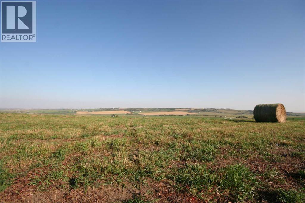 402 Avenue W, Rural Foothills County, Alberta  T1S 2E4 - Photo 3 - A2248865