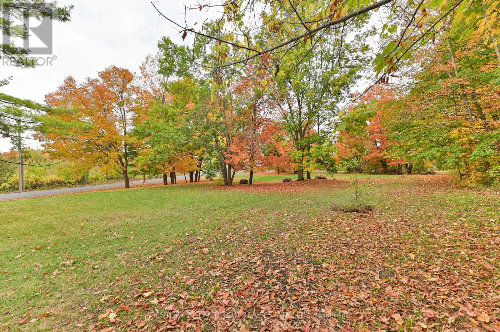 93 Tannery Road, Madoc, Ontario  K0K 2K0 - Photo 37 - X12426868