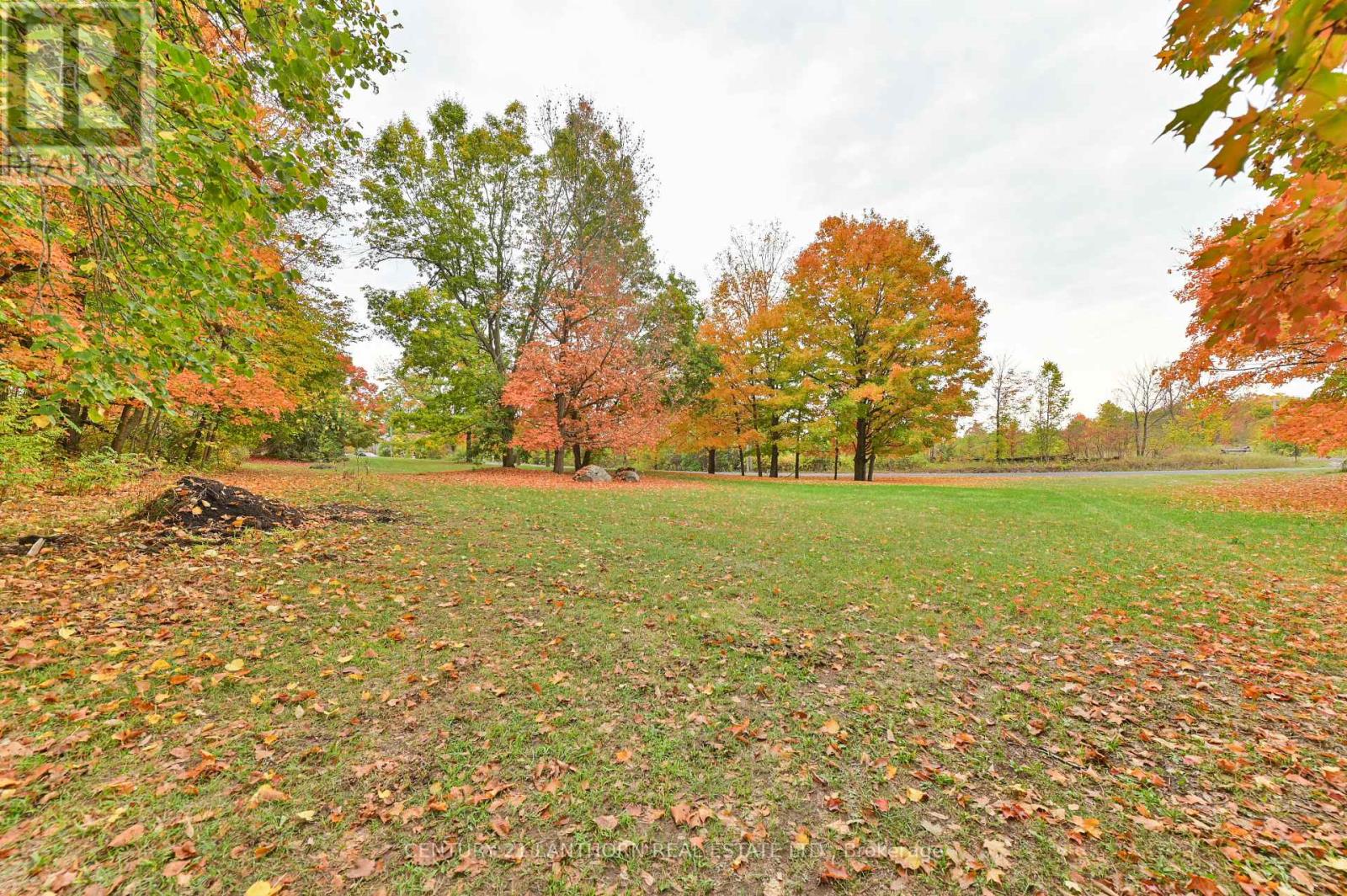 93 Tannery Road, Madoc, Ontario  K0K 2K0 - Photo 39 - X12426868