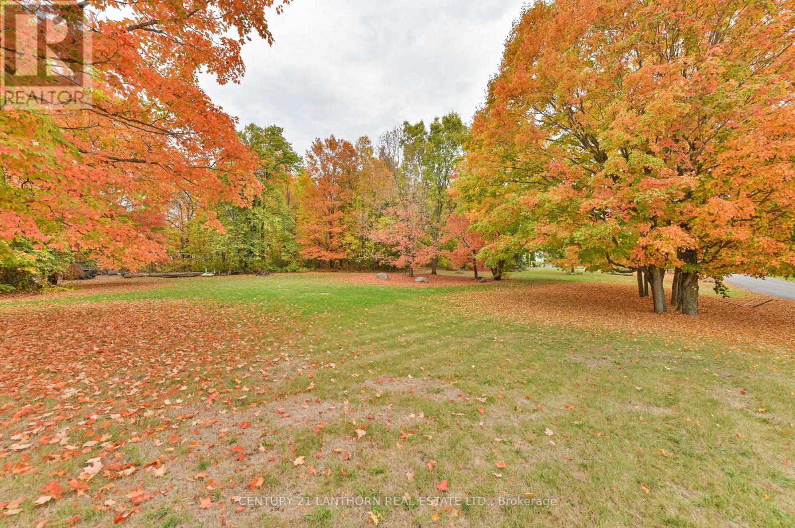 93 Tannery Road, Madoc, Ontario  K0K 2K0 - Photo 41 - X12426868