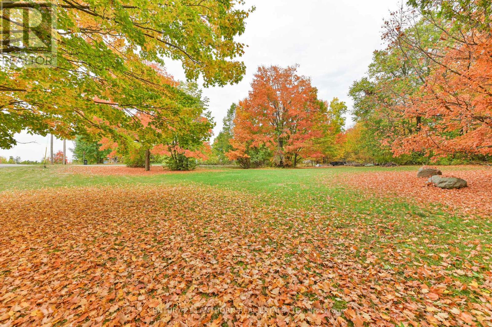 93 Tannery Road, Madoc, Ontario  K0K 2K0 - Photo 43 - X12426868