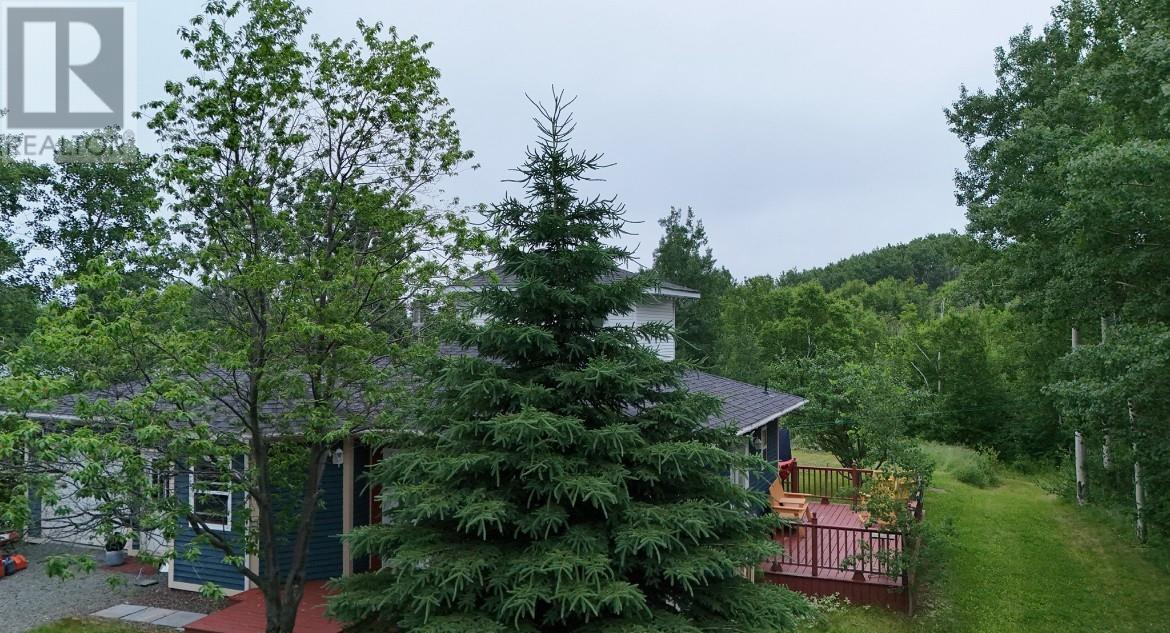 254 Main Street, Embree, Newfoundland & Labrador  A0G 2A0 - Photo 18 - 1287928