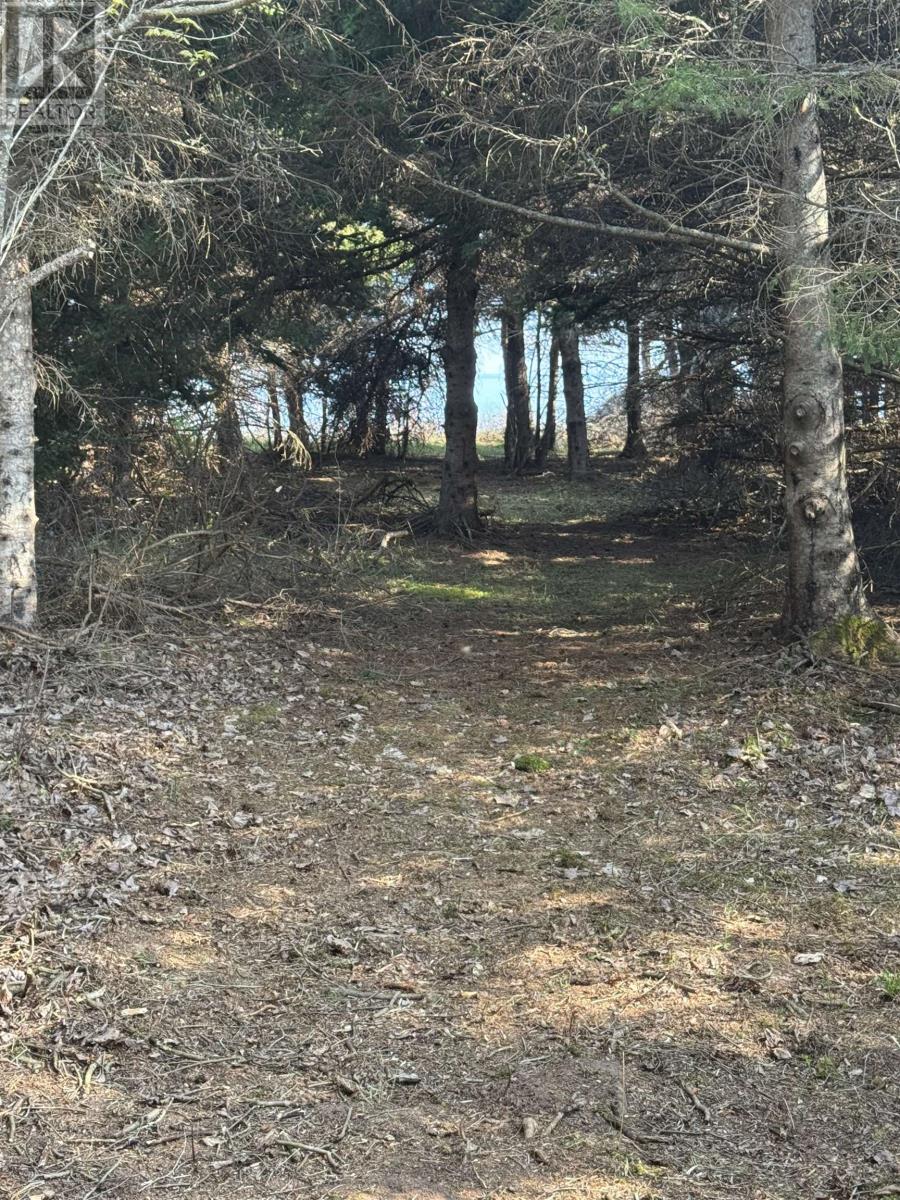 Lot Macneil Lane, Little Sands, Prince Edward Island  C0A 1W0 - Photo 11 - 202517550