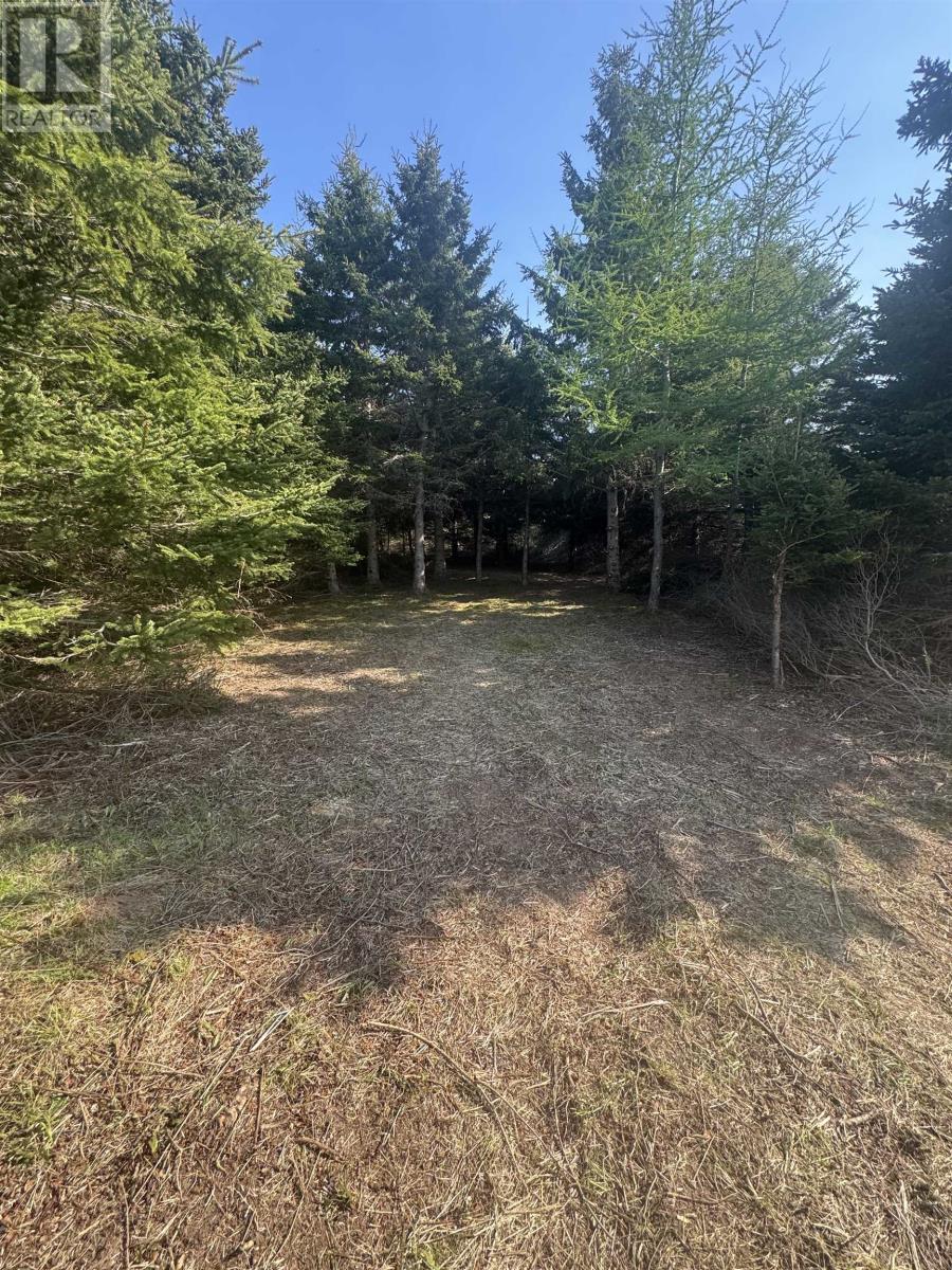 Lot Macneil Lane, Little Sands, Prince Edward Island  C0A 1W0 - Photo 15 - 202517550