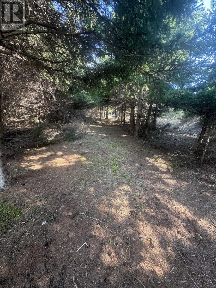 Lot Macneil Lane, Little Sands, Prince Edward Island  C0A 1W0 - Photo 14 - 202517550