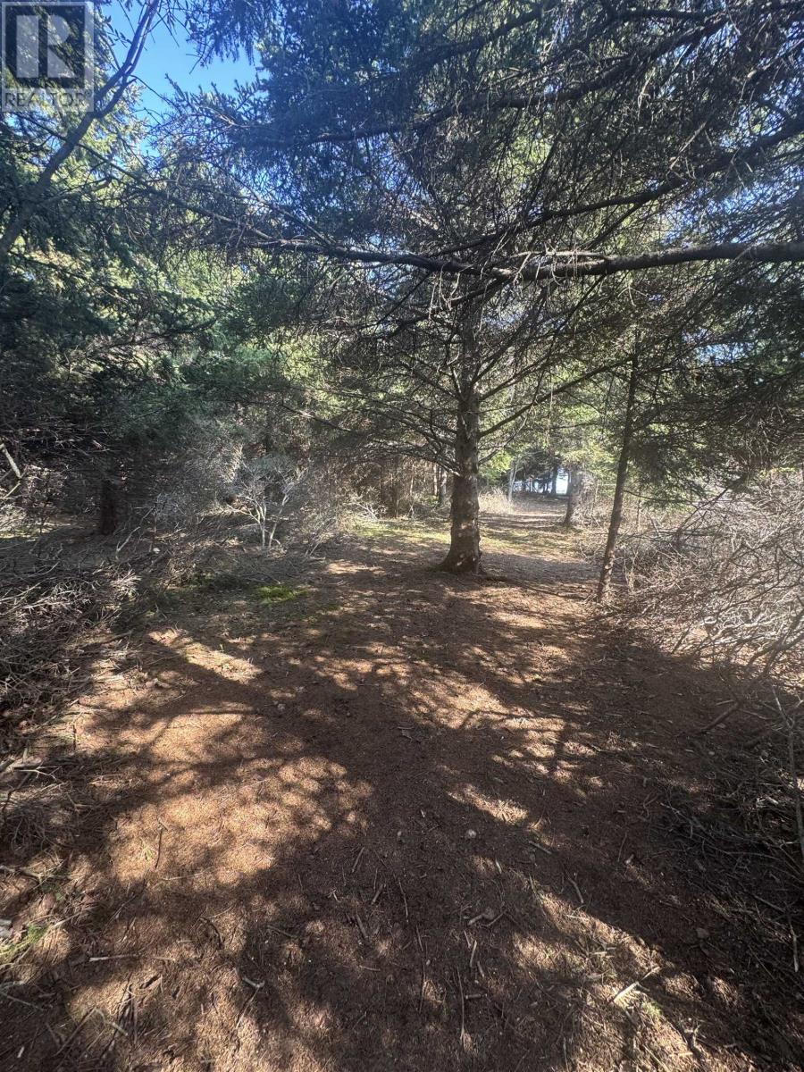 Lot Macneil Lane, Little Sands, Prince Edward Island  C0A 1W0 - Photo 13 - 202517550