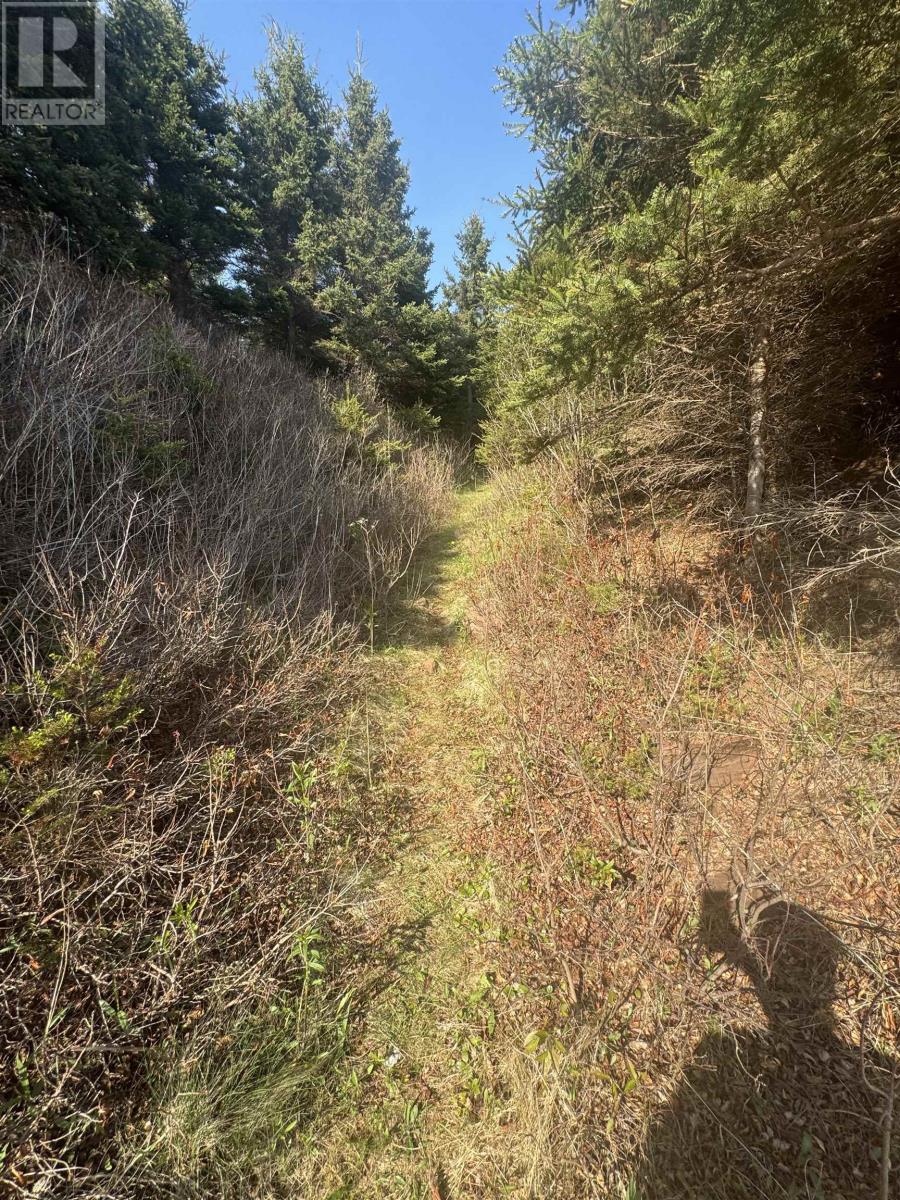 Lot Macneil Lane, Little Sands, Prince Edward Island  C0A 1W0 - Photo 2 - 202517550