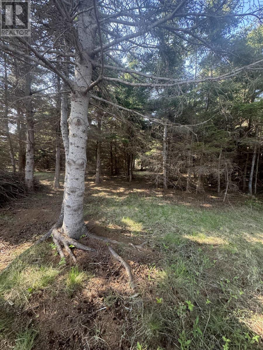 Lot Macneil Lane, Little Sands, Prince Edward Island  C0A 1W0 - Photo 6 - 202517550