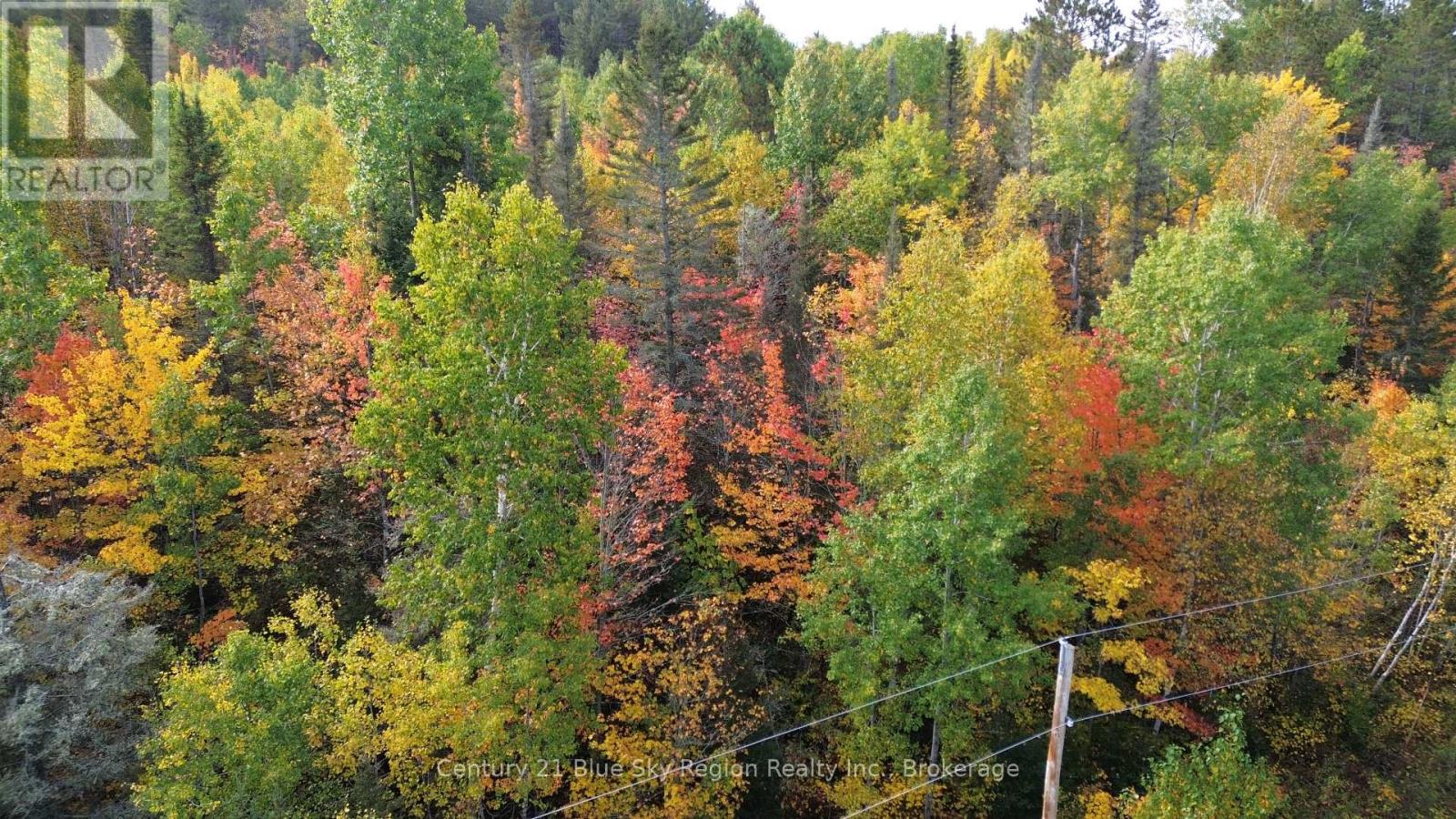 Lot 5 Con 3 Guillemette Road, West Nipissing (River Valley), Ontario  P0H 2C0 - Photo 10 - X12426916