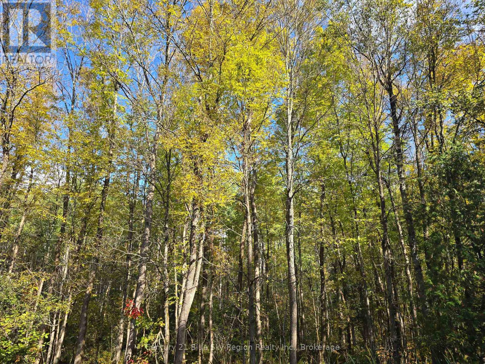 Lot 5 Con 3 Guillemette Road, West Nipissing (River Valley), Ontario  P0H 2C0 - Photo 1 - X12426916