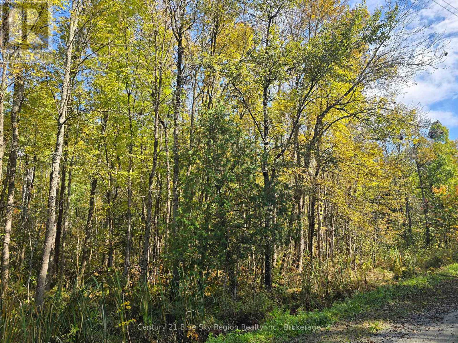 Lot 5 Con 3 Guillemette Road, West Nipissing (River Valley), Ontario  P0H 2C0 - Photo 2 - X12426916