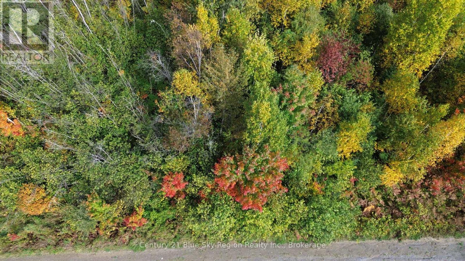 Lot 5 Con 3 Guillemette Road, West Nipissing (River Valley), Ontario  P0H 2C0 - Photo 4 - X12426916
