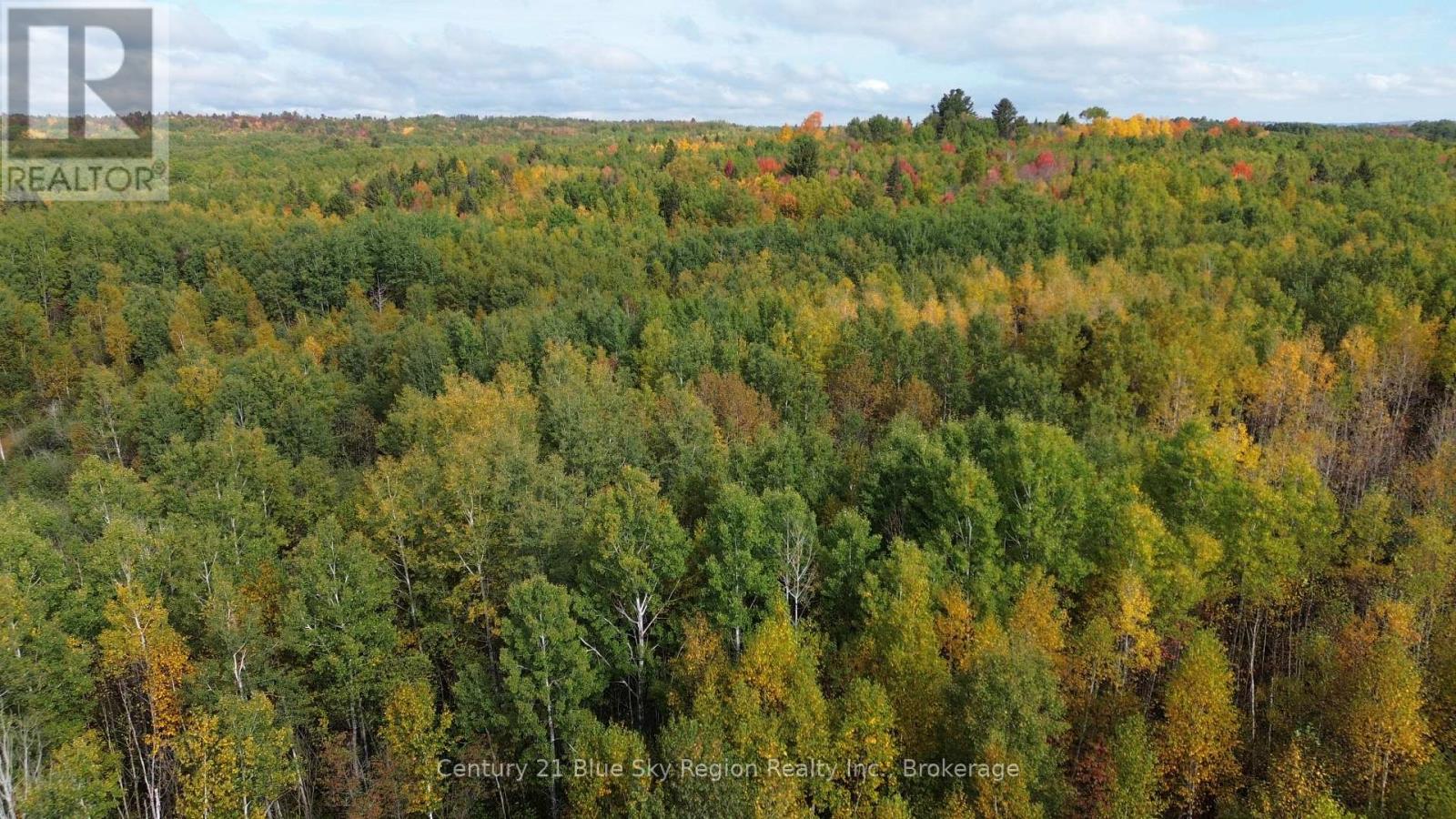 Lot 5 Con 3 Guillemette Road, West Nipissing (River Valley), Ontario  P0H 2C0 - Photo 5 - X12426916