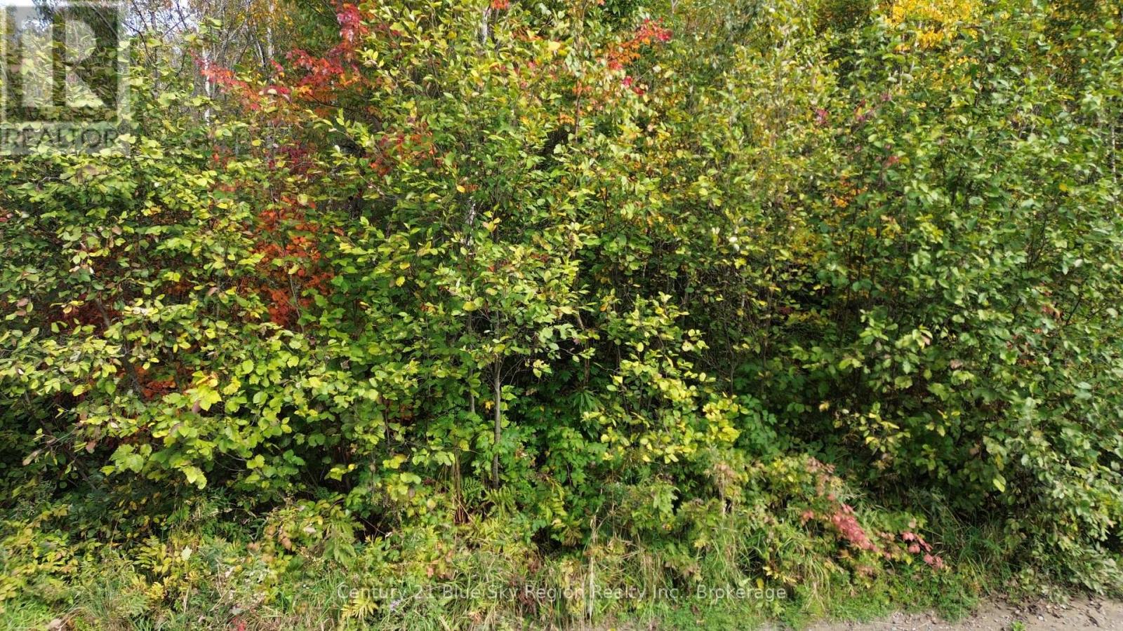 Lot 5 Con 3 Guillemette Road, West Nipissing (River Valley), Ontario  P0H 2C0 - Photo 11 - X12426916