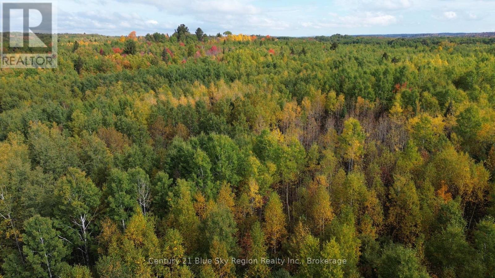 Lot 5 Con 3 Guillemette Road, West Nipissing (River Valley), Ontario  P0H 2C0 - Photo 6 - X12426916