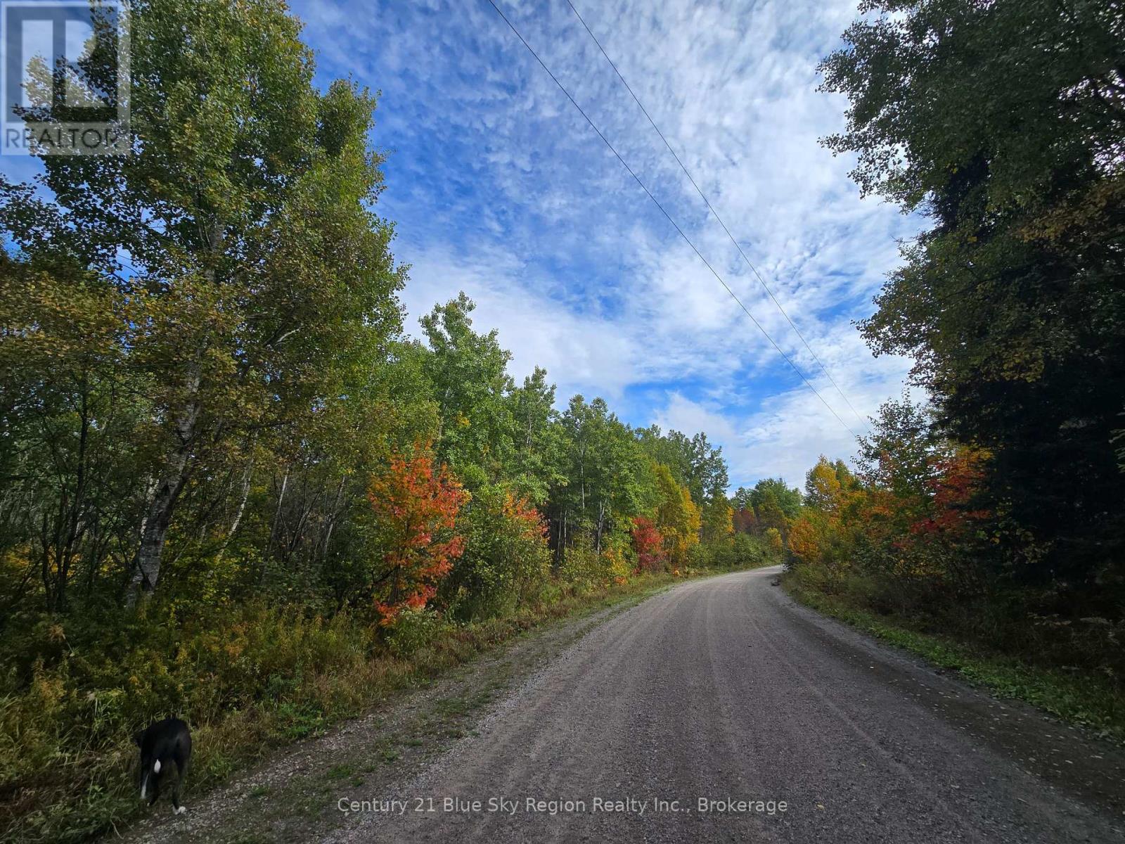 Lot 5 Con 3 Guillemette Road, West Nipissing (River Valley), Ontario  P0H 2C0 - Photo 3 - X12426916