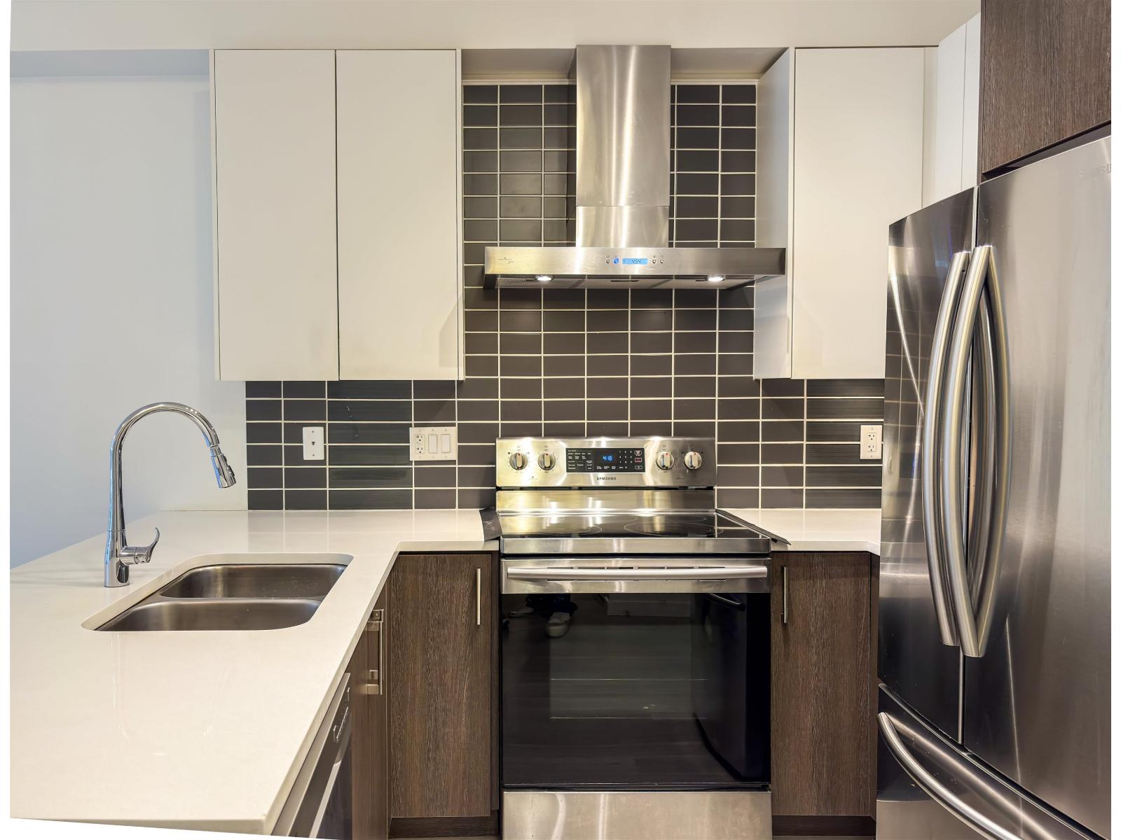 213 6480 195a Street, Surrey, British Columbia  V4N 6P1 - Photo 2 - R3052326