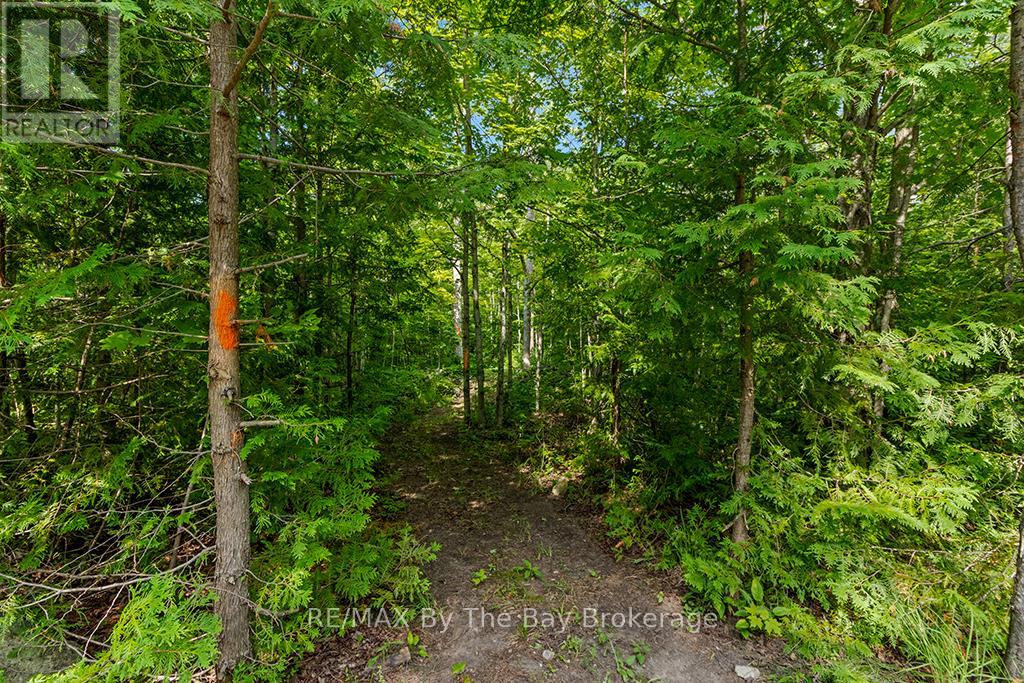 600055 50 Side Road S, Chatsworth, Ontario  N0H 1R0 - Photo 33 - X12427016