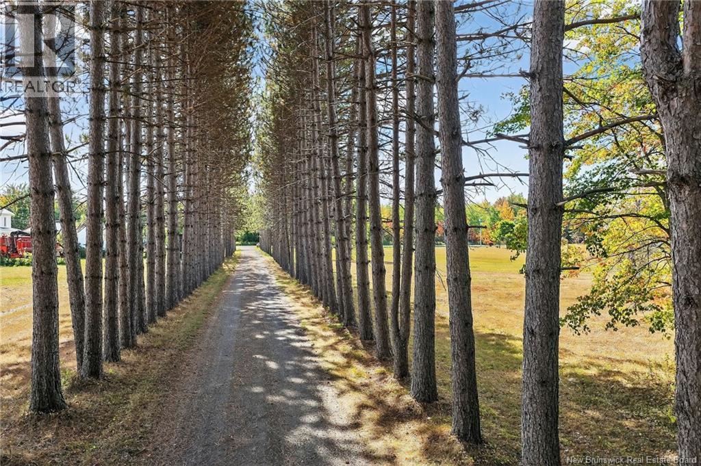 20 Emery Lane, Shediac River, New Brunswick  E4R 6A4 - Photo 4 - NB127416