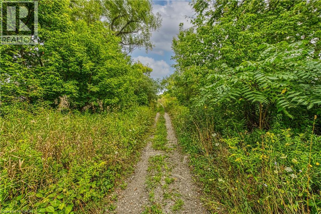 60b Talbot Road, Canfield, Ontario  N0A 1C0 - Photo 9 - 40762027