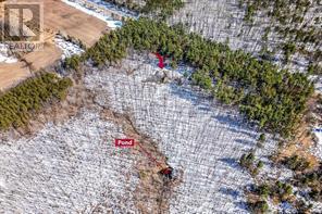 280 Conc 6 West Road W, Tiny, Ontario  L0L 2J0 - Photo 42 - S12427061