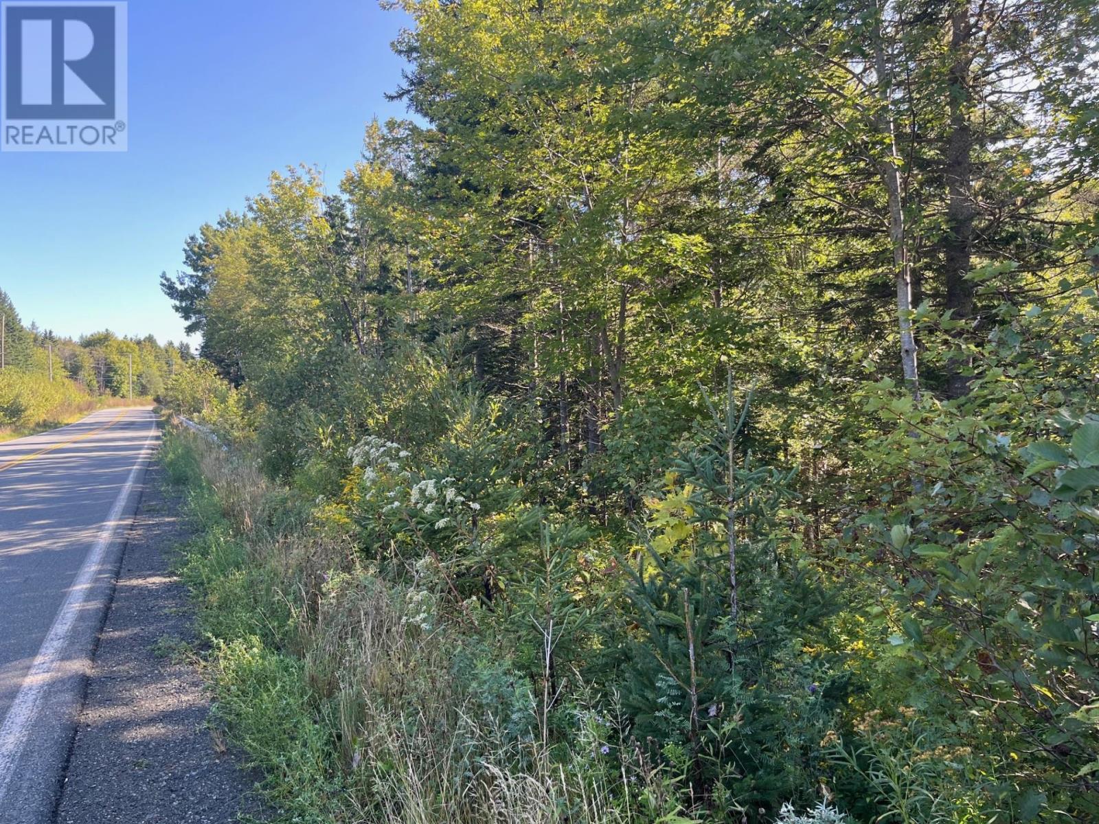 Highway 252, Stewartdale, Nova Scotia  B0E 3M0 - Photo 1 - 202421694