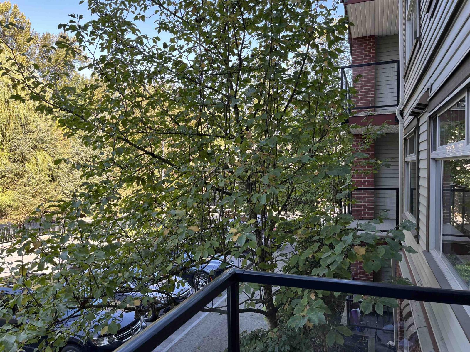 234 2233 Mckenzie Road, Abbotsford, British Columbia  V2S 4A1 - Photo 16 - R3052304