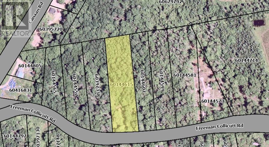 41 Freeman Collicutt Road, Canaan, Nova Scotia