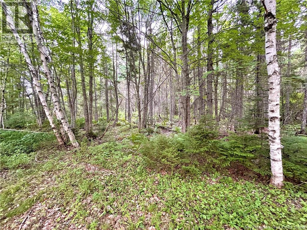 49 Front Road, Bay Du Vin, New Brunswick  E1N 6L3 - Photo 14 - NB123895