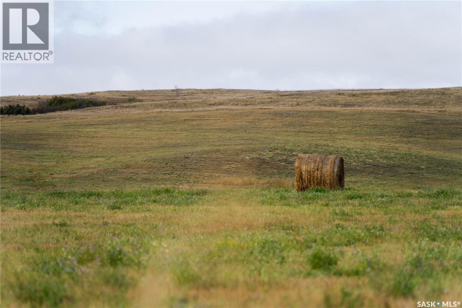 Hobby Farm Near Mortlach, Sk, Wheatlands Rm No. 163, Saskatchewan  S0H 3E0 - Photo 23 - SK019021