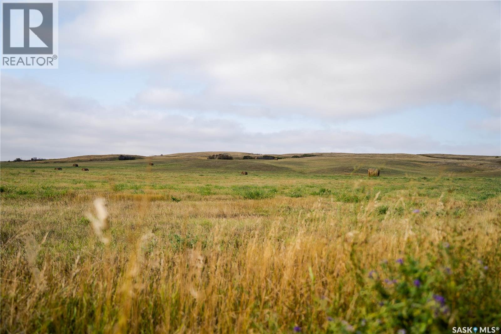 Hobby Farm Near Mortlach, Sk, Wheatlands Rm No. 163, Saskatchewan  S0H 3E0 - Photo 16 - SK019021