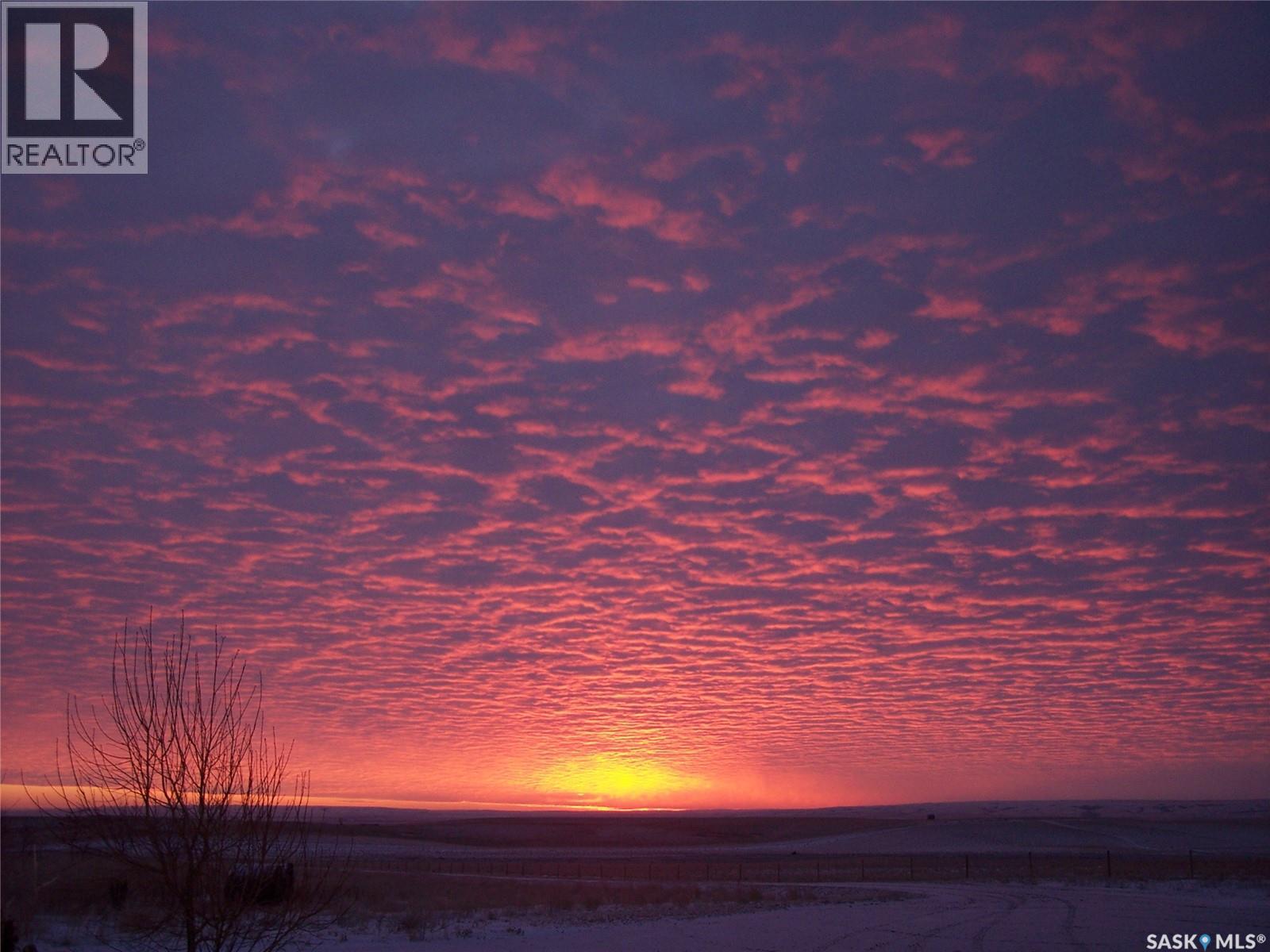 Hobby Farm Near Mortlach, Sk, Wheatlands Rm No. 163, Saskatchewan  S0H 3E0 - Photo 26 - SK019021