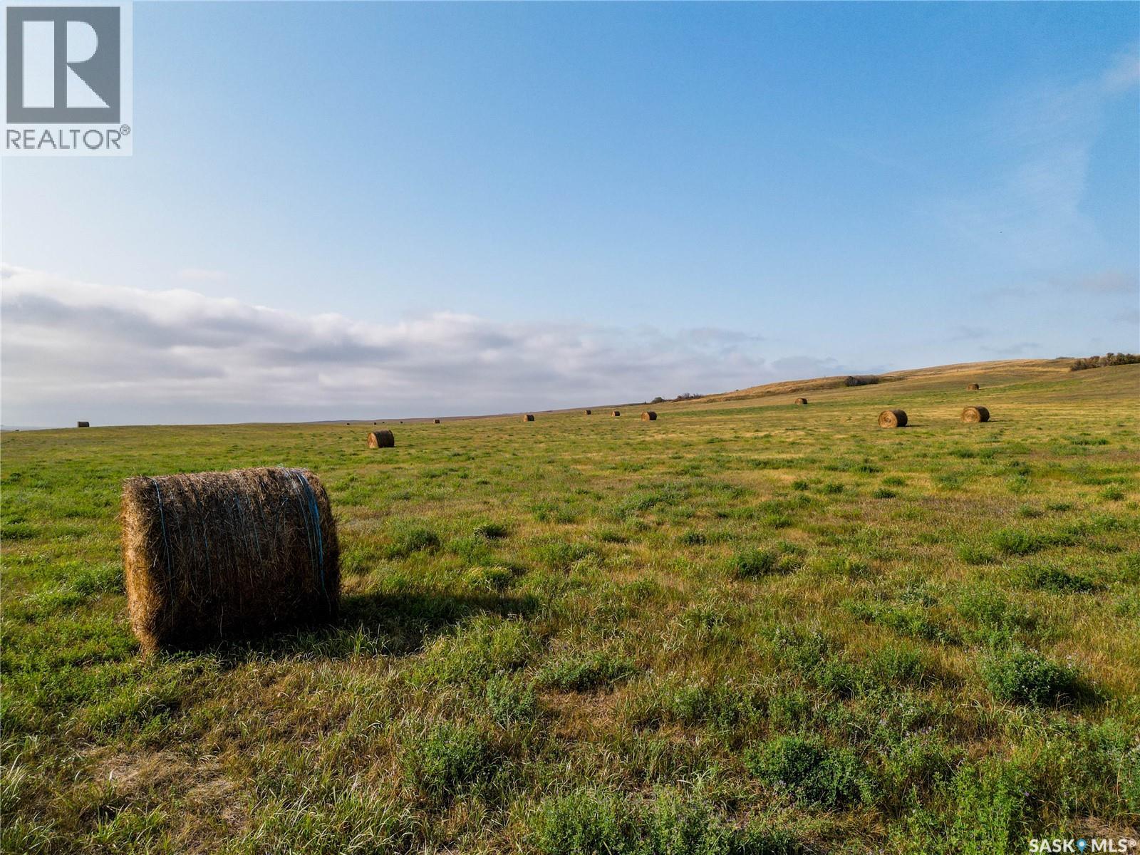 Hobby Farm Near Mortlach, Sk, Wheatlands Rm No. 163, Saskatchewan  S0H 3E0 - Photo 17 - SK019021