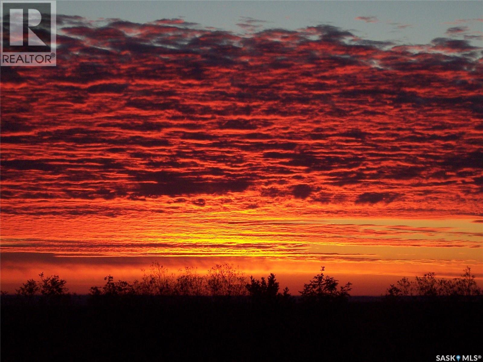 Hobby Farm Near Mortlach, Sk, Wheatlands Rm No. 163, Saskatchewan  S0H 3E0 - Photo 28 - SK019021