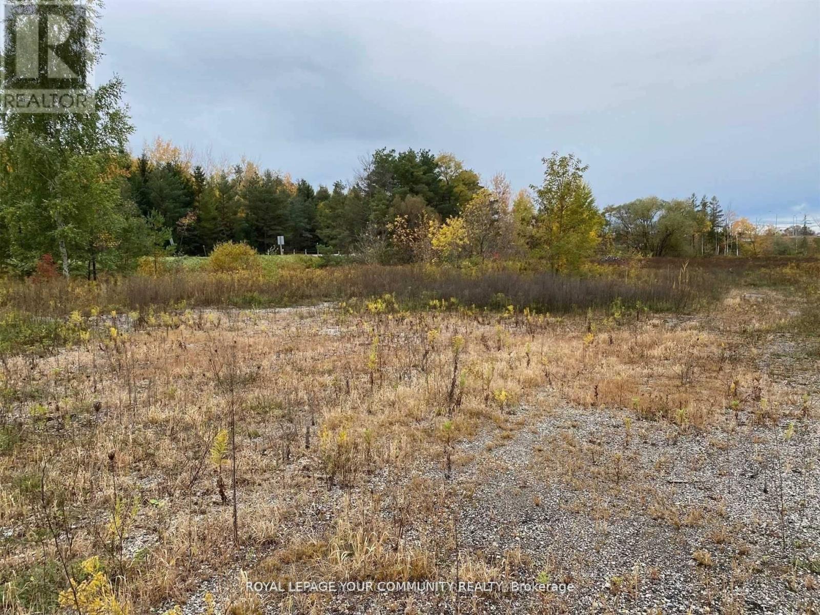 5360 Mount Albert Road, East Gwillimbury, Ontario  L0G 1M0 - Photo 2 - N12427240