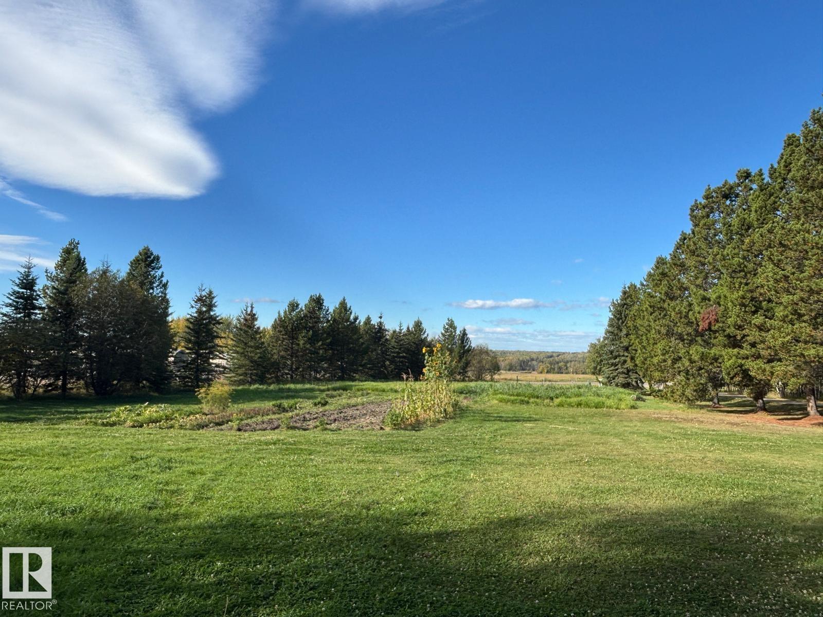 5001 67 St, Rural Brazeau County, Alberta  T7A 1R9 - Photo 11 - E4459109