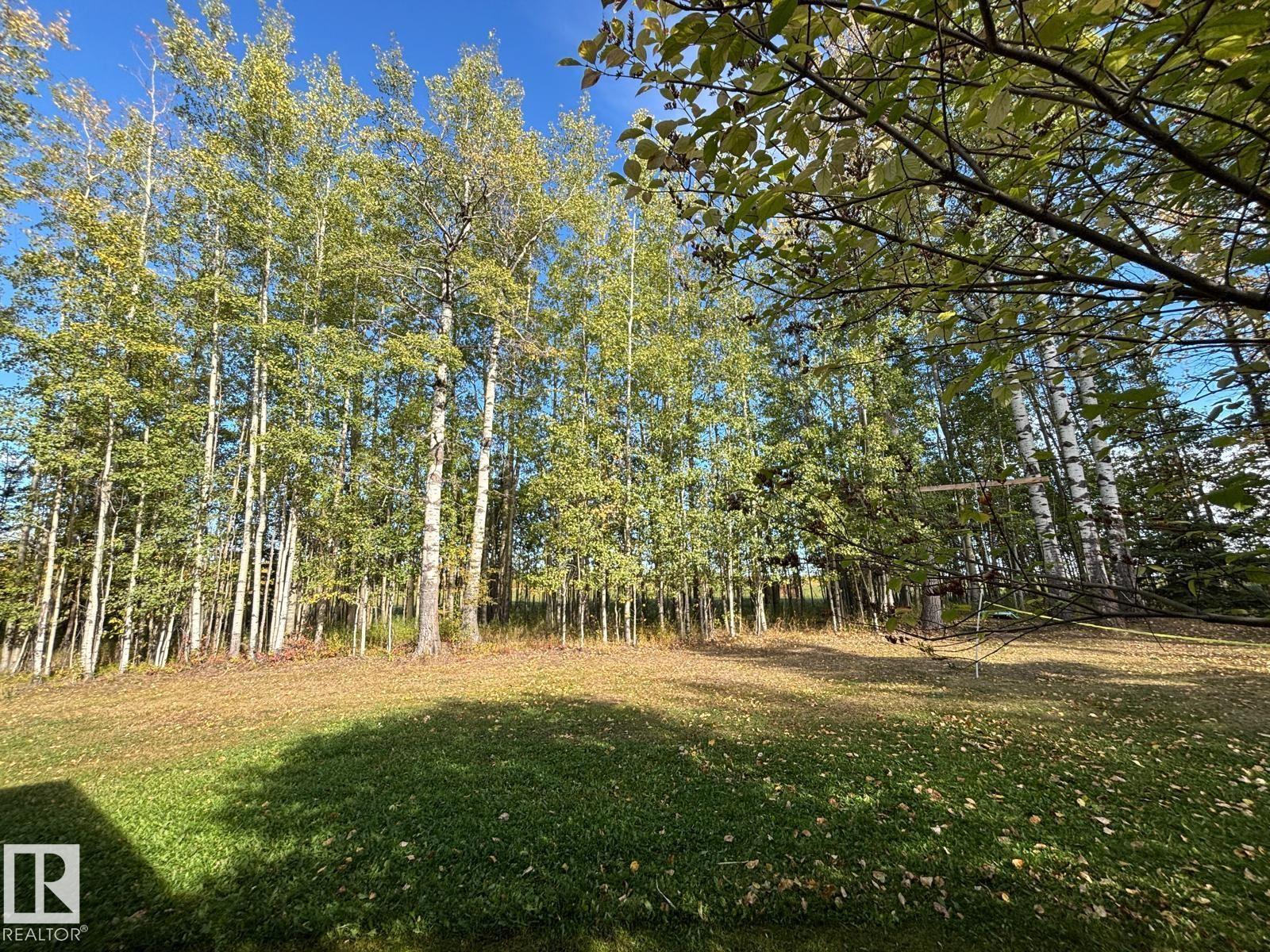 5001 67 St, Rural Brazeau County, Alberta  T7A 1R9 - Photo 10 - E4459109
