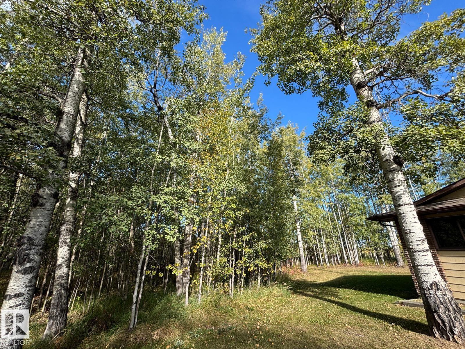 5001 67 St, Rural Brazeau County, Alberta  T7A 1R9 - Photo 13 - E4459109