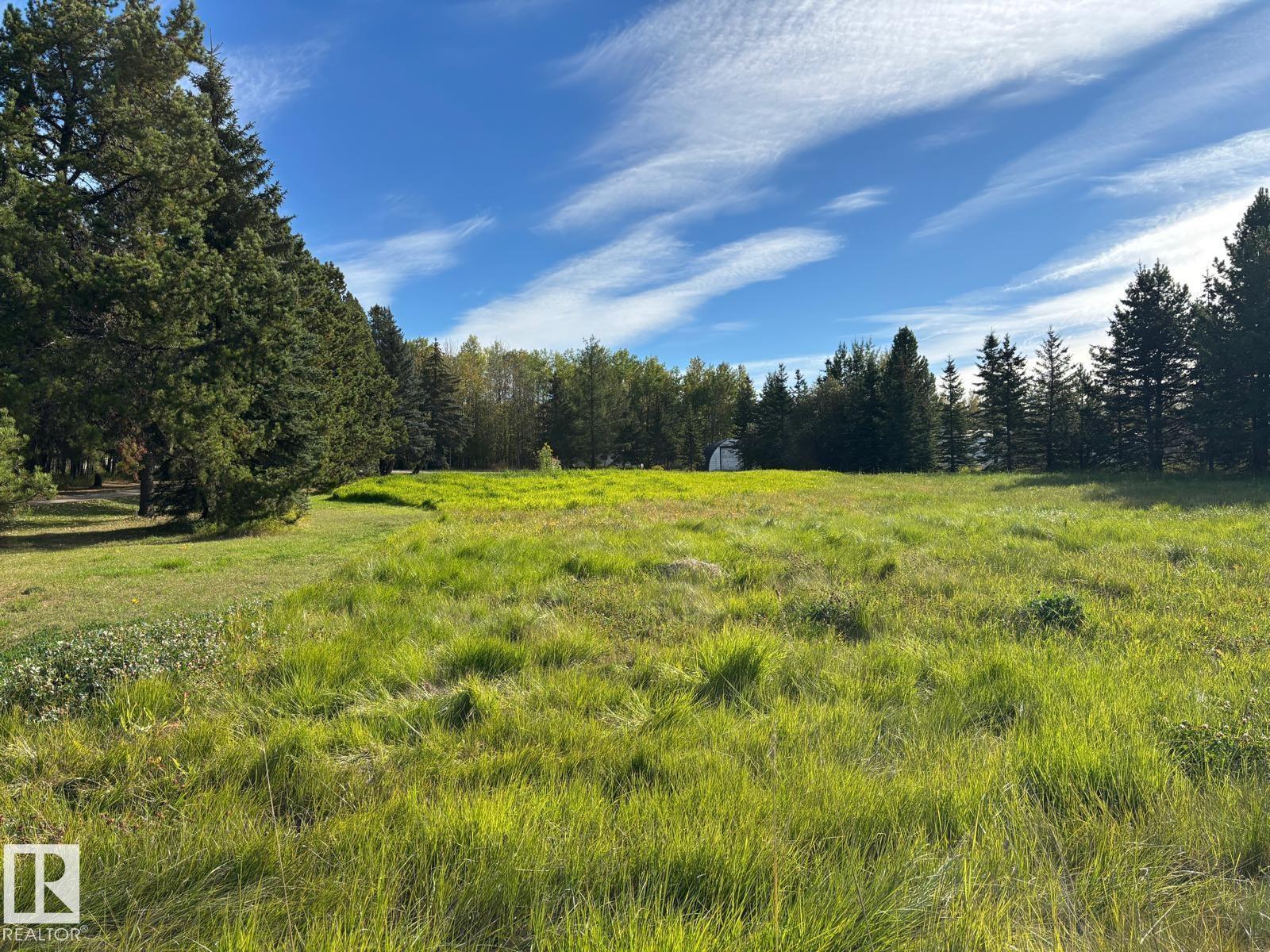 5001 67 St, Rural Brazeau County, Alberta  T7A 1R9 - Photo 12 - E4459109