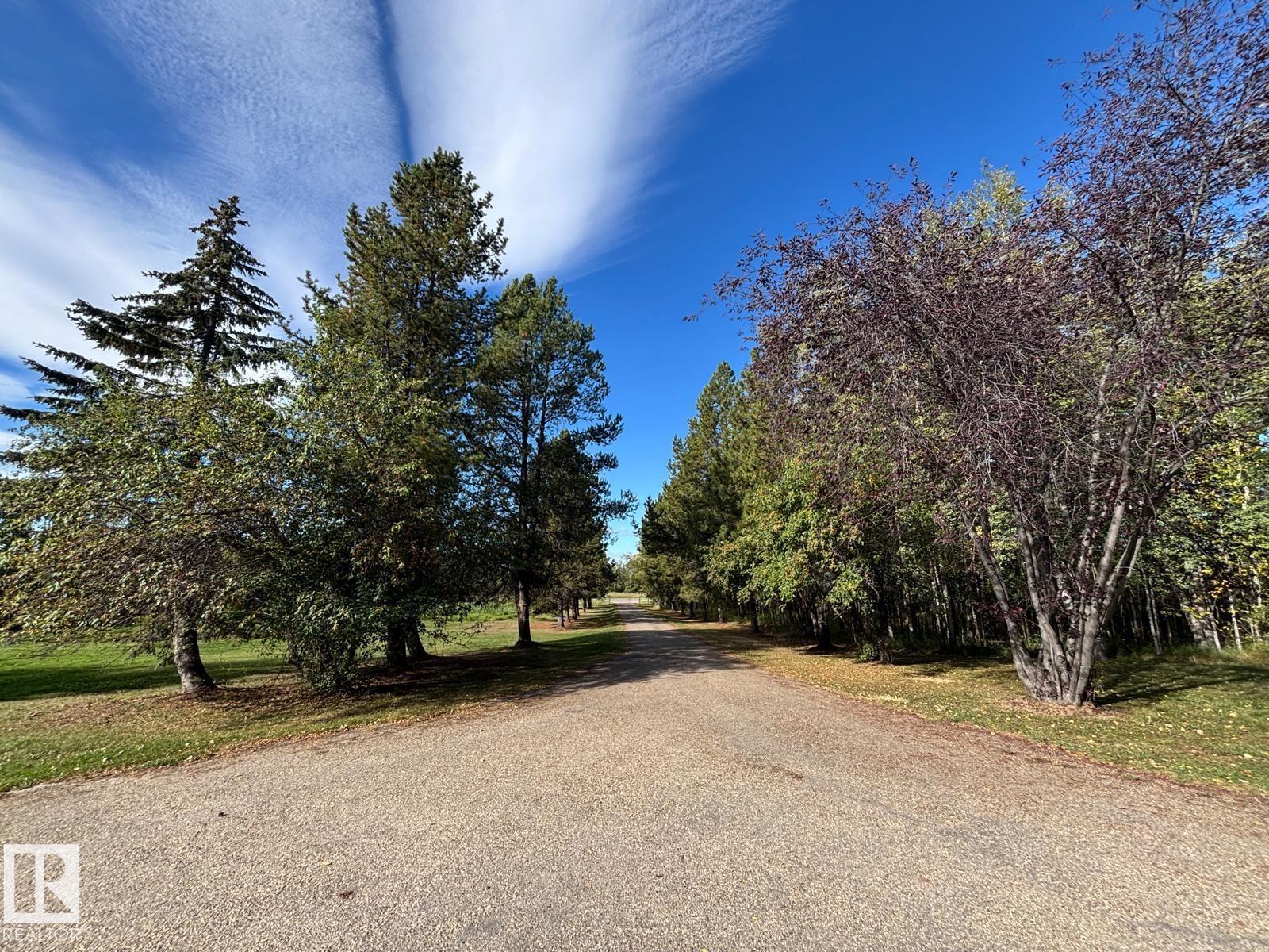 5001 67 St, Rural Brazeau County, Alberta  T7A 1R9 - Photo 8 - E4459109