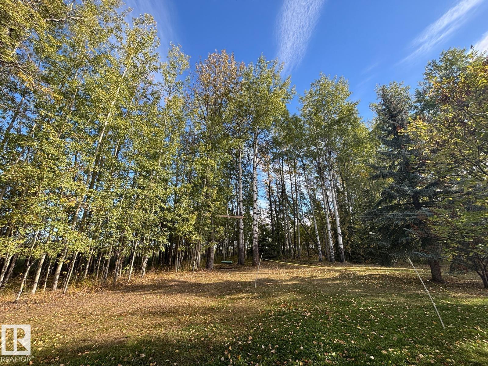 5001 67 St, Rural Brazeau County, Alberta  T7A 1R9 - Photo 15 - E4459109