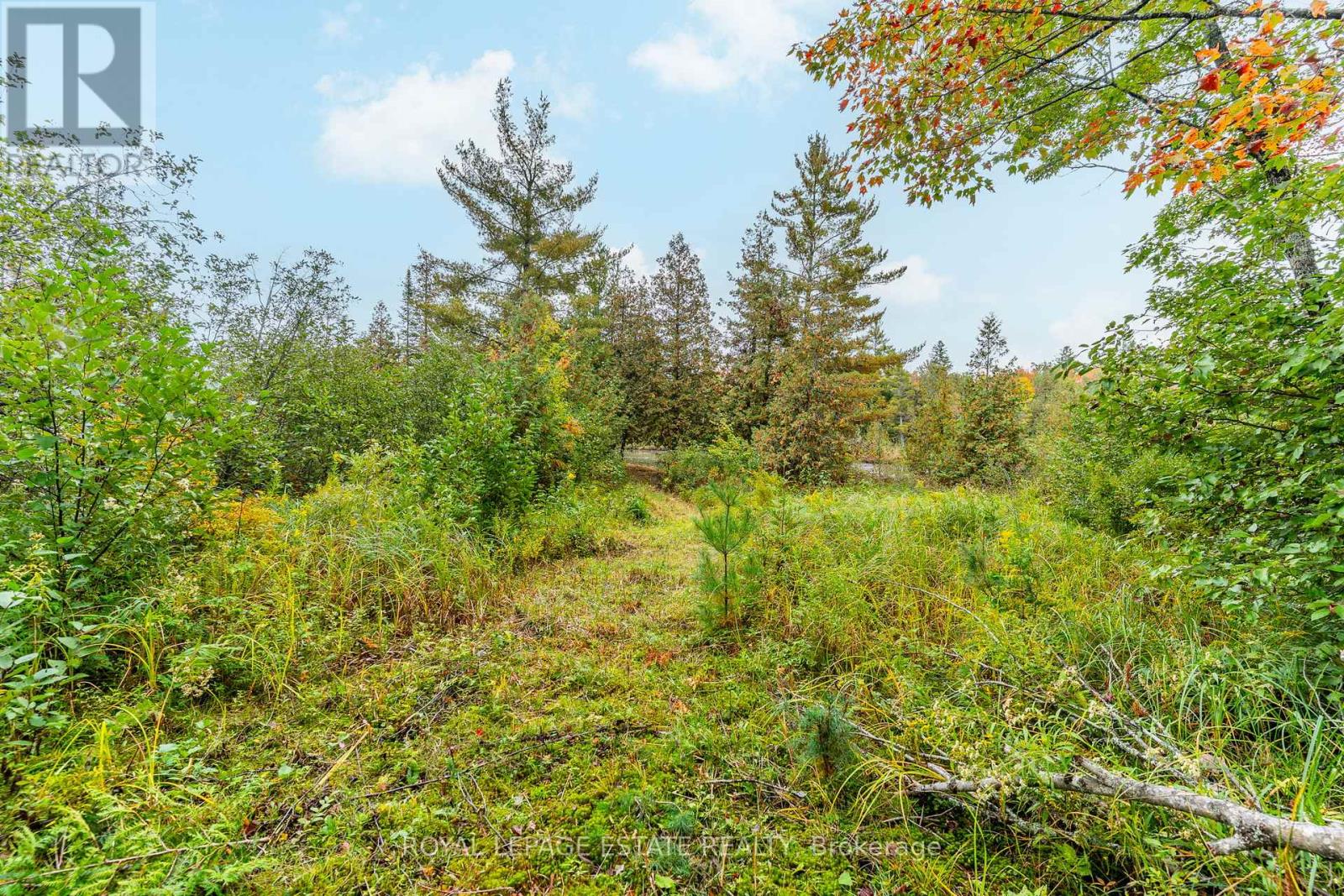 Block B Crego Lake Road, Kawartha Lakes, Ontario  K0M 2A1 - Photo 10 - X12427552
