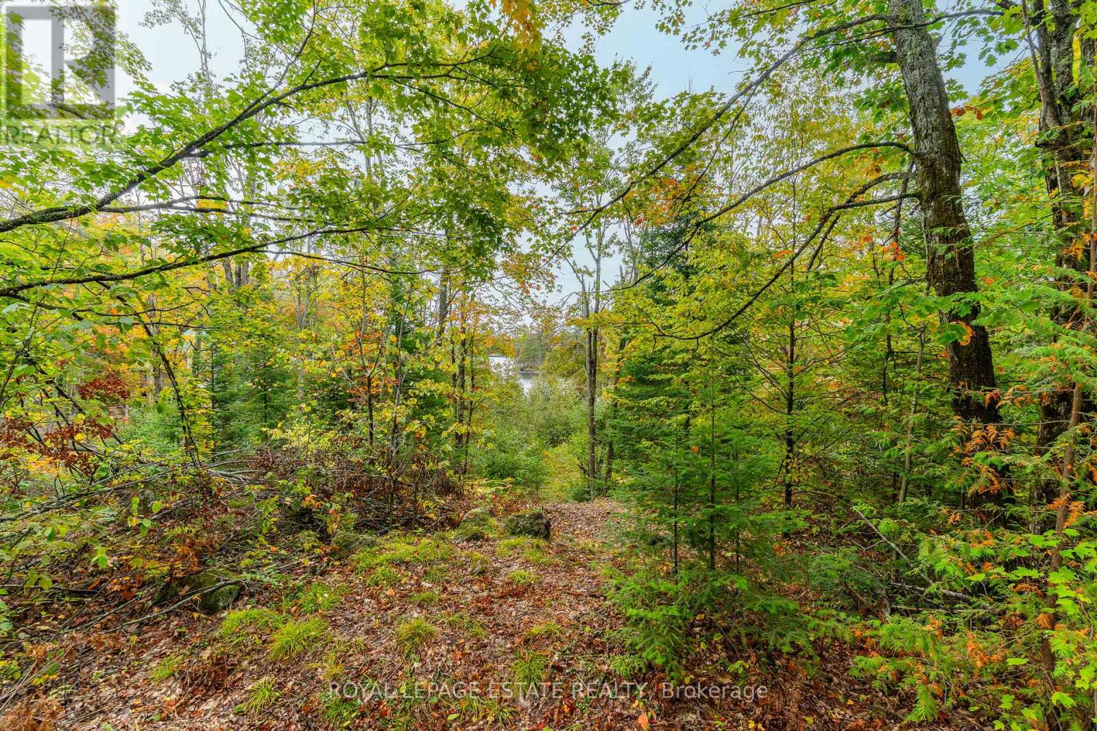 Block B Crego Lake Road, Kawartha Lakes, Ontario  K0M 2A1 - Photo 11 - X12427552