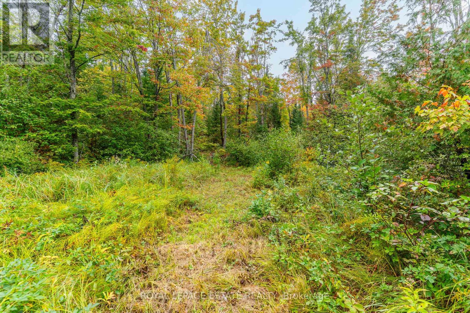 Block B Crego Lake Road, Kawartha Lakes, Ontario  K0M 2A1 - Photo 12 - X12427552