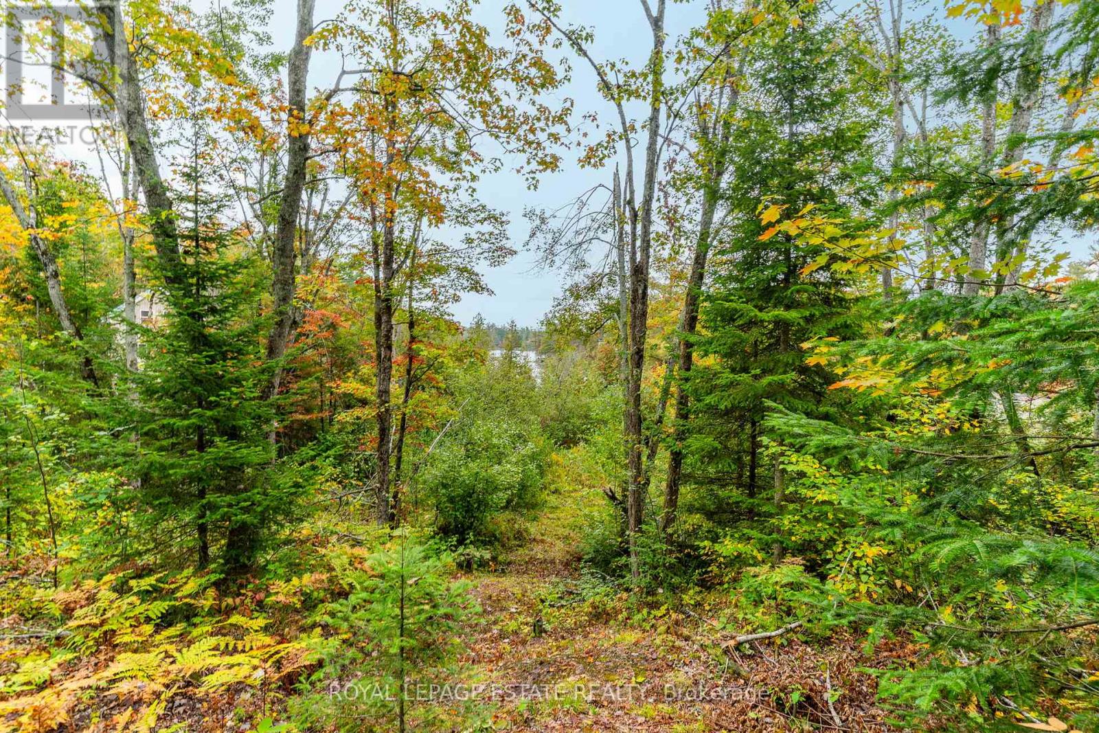 Block B Crego Lake Road, Kawartha Lakes, Ontario  K0M 2A1 - Photo 13 - X12427552