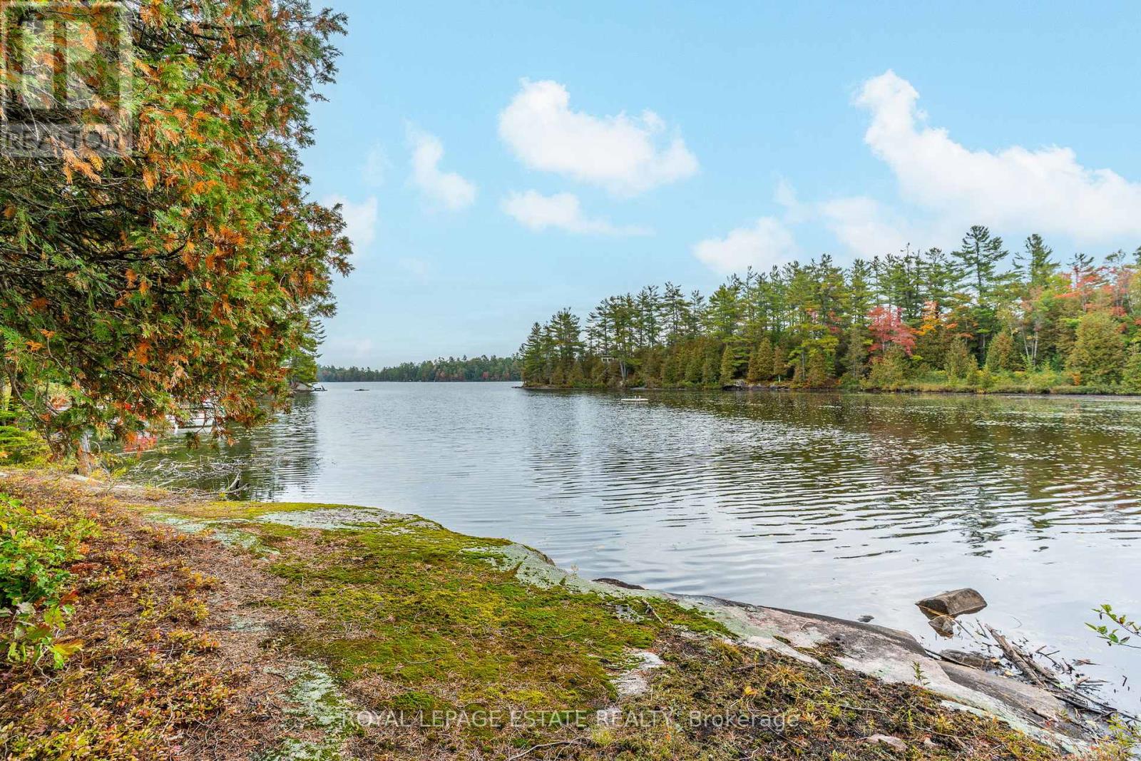 Block B Crego Lake Road, Kawartha Lakes, Ontario  K0M 2A1 - Photo 4 - X12427552