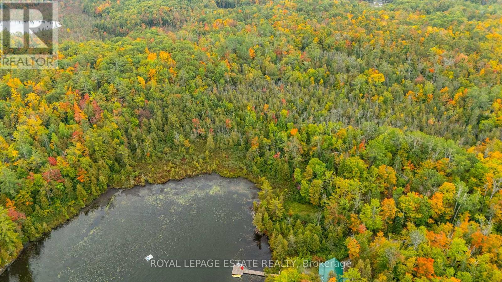 Block B Crego Lake Road, Kawartha Lakes, Ontario  K0M 2A1 - Photo 6 - X12427552