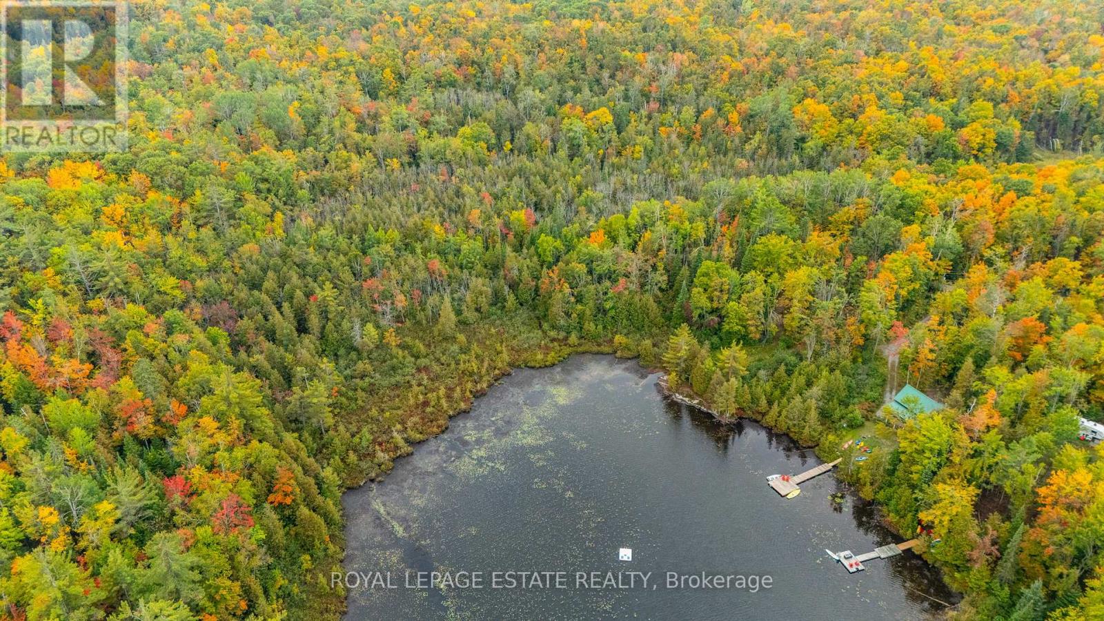 Block B Crego Lake Road, Kawartha Lakes, Ontario  K0M 2A1 - Photo 7 - X12427552