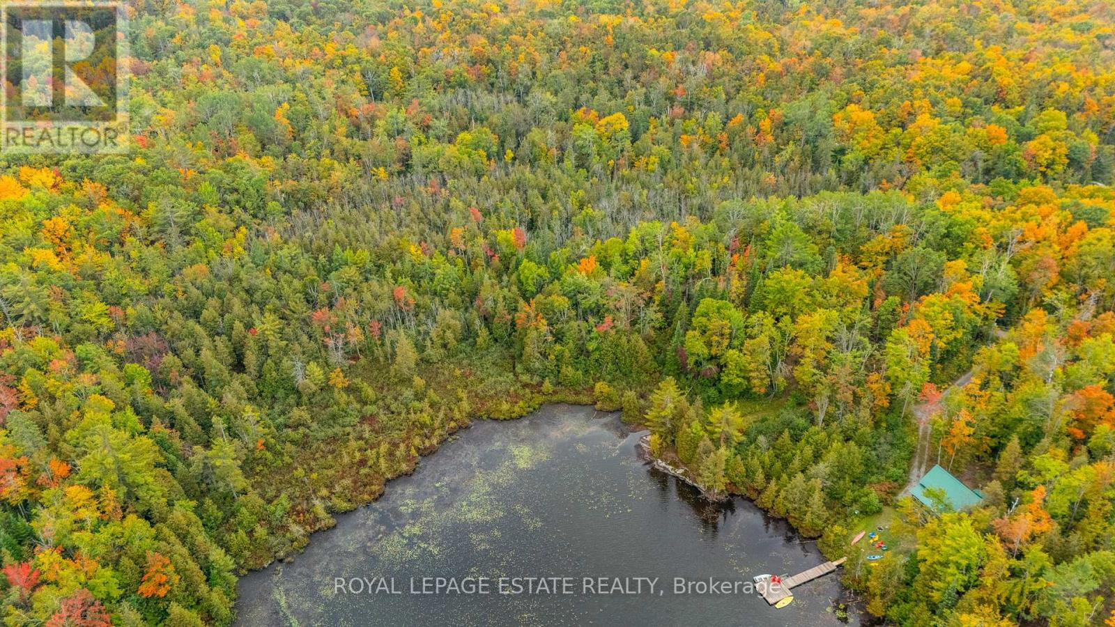 Block B Crego Lake Road, Kawartha Lakes, Ontario  K0M 2A1 - Photo 8 - X12427552