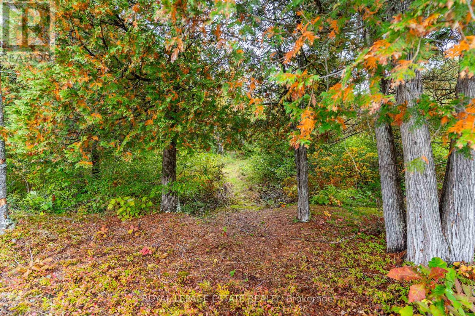 Block B Crego Lake Road, Kawartha Lakes, Ontario  K0M 2A1 - Photo 9 - X12427552